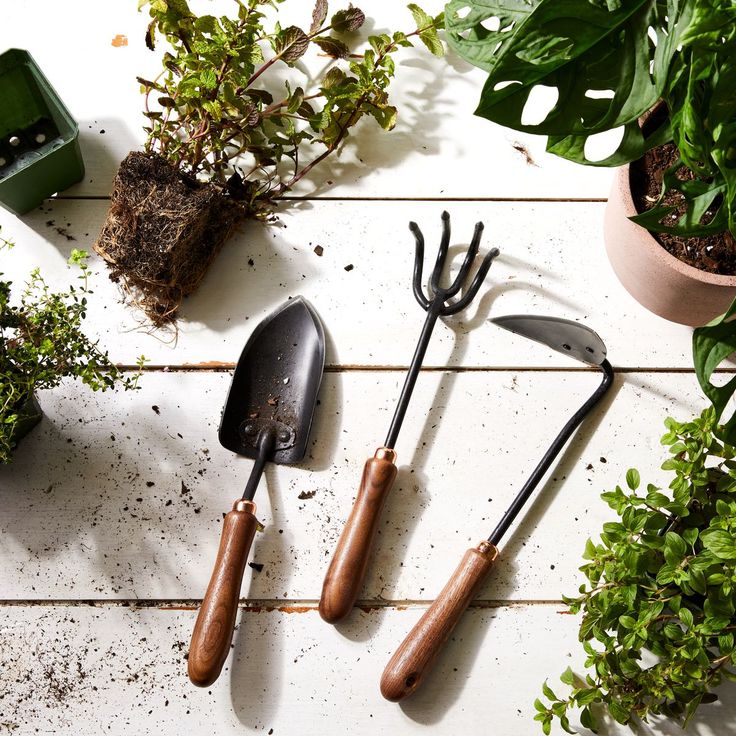 Set de Jardinería